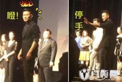 娱乐爆料刘德华视频播放,幕后故事引网友热议