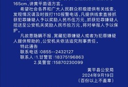 黄平新闻爆料电话号码,揭秘事件背后真相