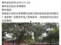 临西爆料新闻,揭秘当地热点事件背后的真相