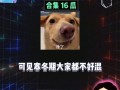 吃瓜娱乐八卦号是什么,揭秘娱乐圈背后的秘密与热点