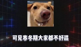 吃瓜娱乐八卦号是什么,揭秘娱乐圈背后的秘密与热点