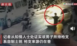 武汉小蜜蜂爆料事件视频,揭秘背后真相与网络舆论风暴