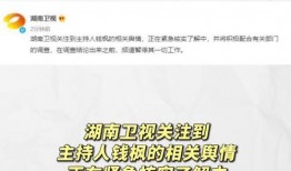 娱乐圈吃瓜爆料文案模板,当红明星背后的惊人真相，你绝对想不到！