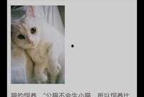 娱乐吃瓜酱猫叫,揭秘娱乐圈那些不为人知的秘密