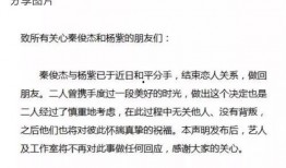 娱乐圈吃瓜爆料文案模板,当红明星背后的惊人真相，你绝对想不到！